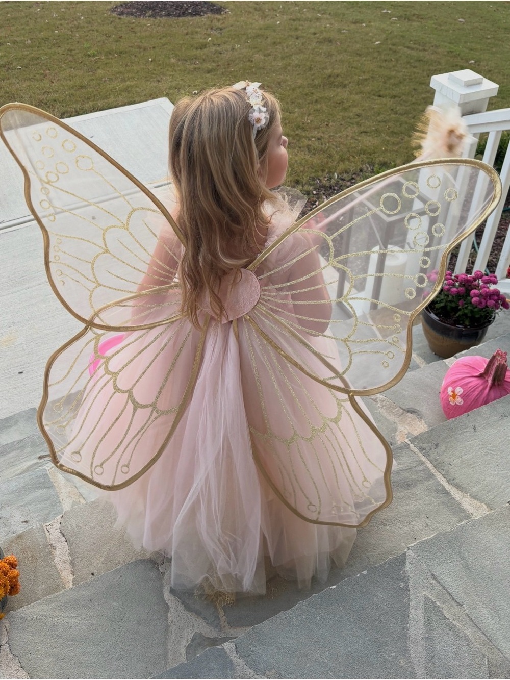 Pottery Barn Kids Pink Tulle Fairy Dress with Gold Wings